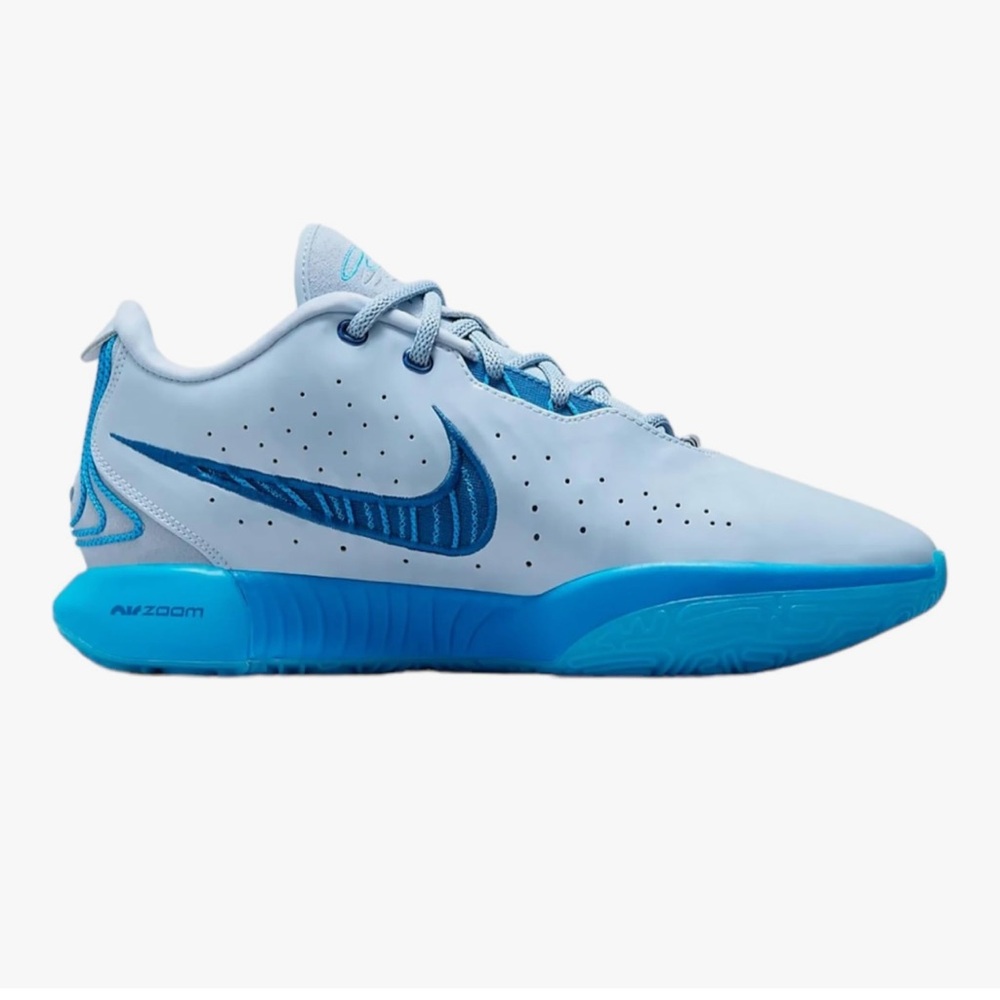 Nike LeBron XXl shoes